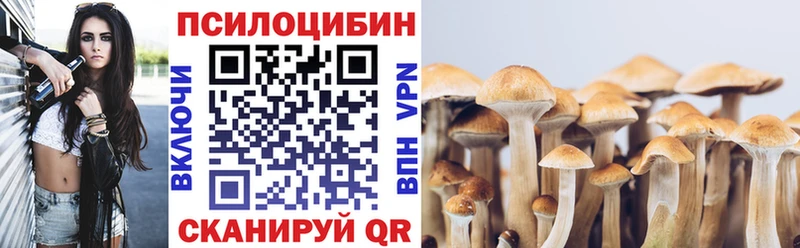 Галлюциногенные грибы Psilocybine cubensis Пермь