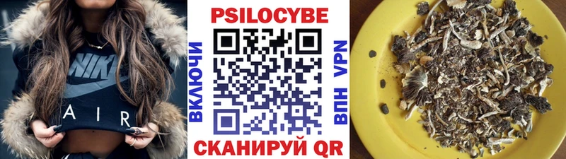 Галлюциногенные грибы Psilocybe  где купить наркоту  Пермь 